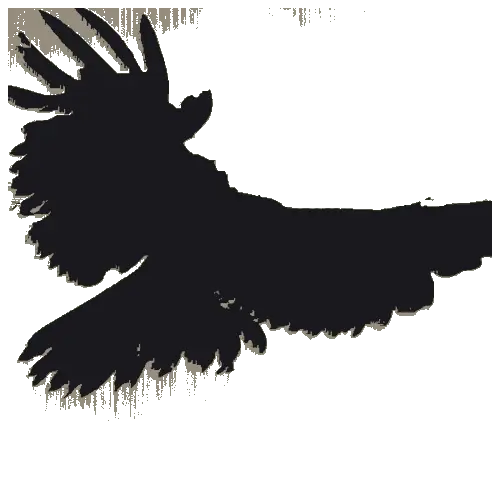 Crow, the 0xb0rn3 mark